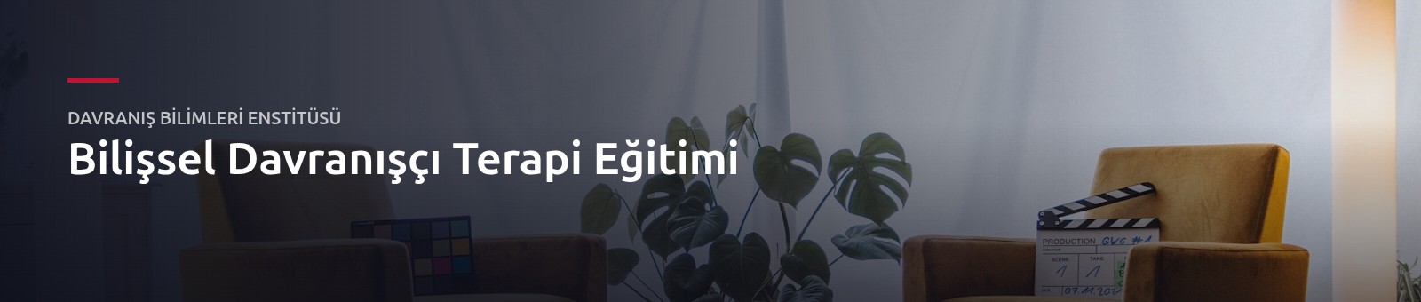 Bilişsel Davranışçı Terapi Eğitimi