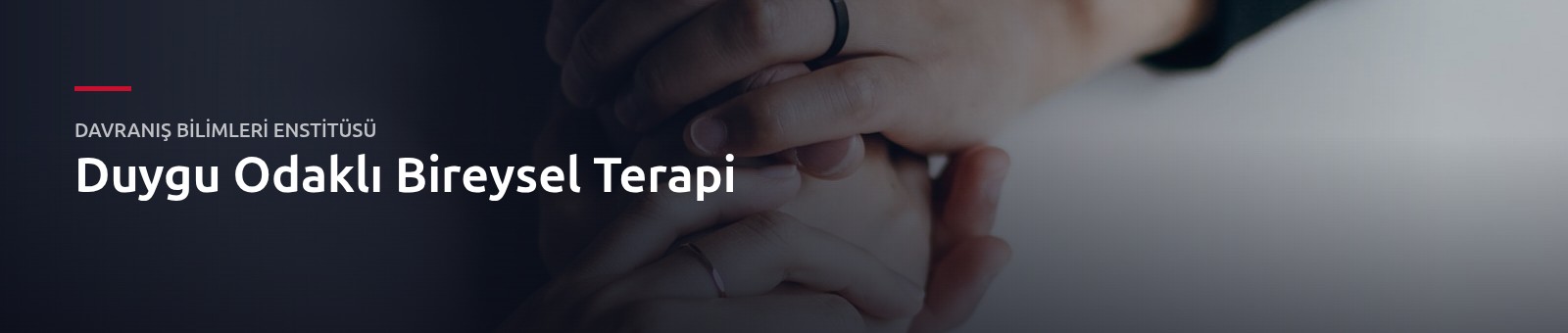 Duygu Odaklı Bireysel Terapi Eğitimi
